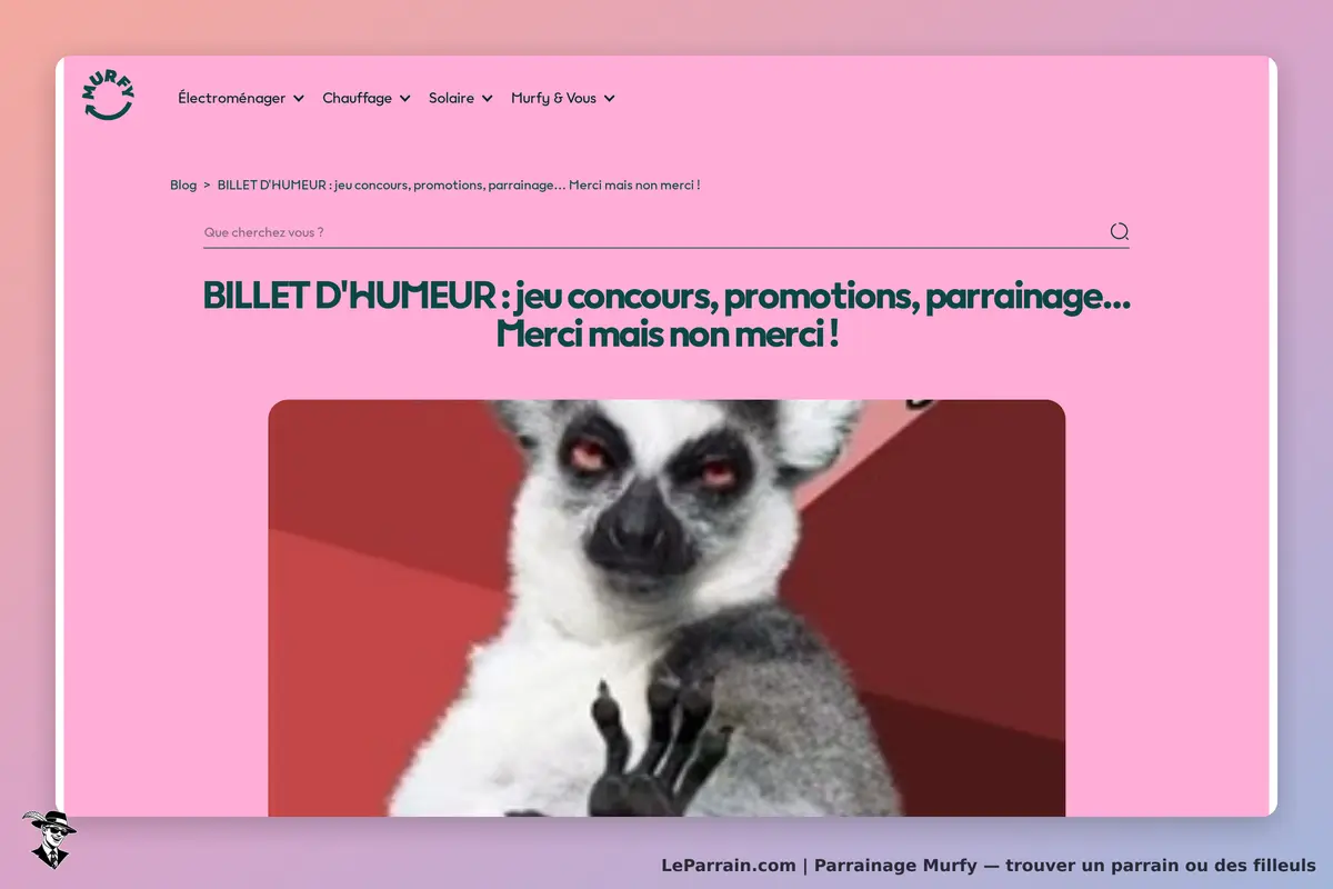 Murfy : article de blog avec un lemur et un titre humoristique sur les concours et parrainage