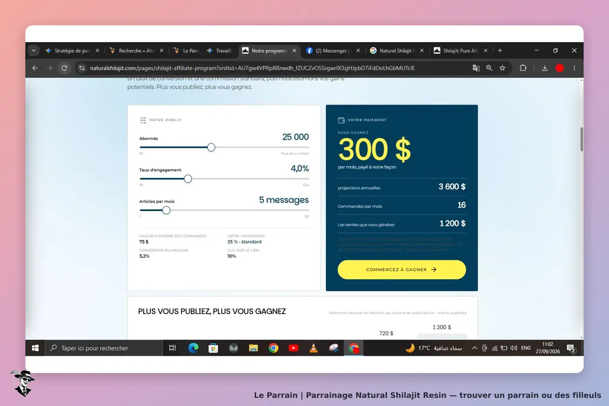 Natural Shilajit Resin : page d'accueil avec des statistiques et un formulaire de paiement