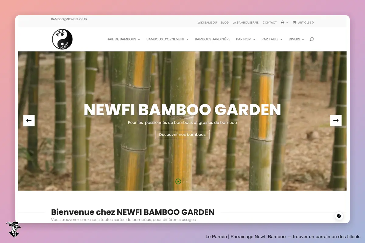 Page d'accueil de Newfi Bamboo