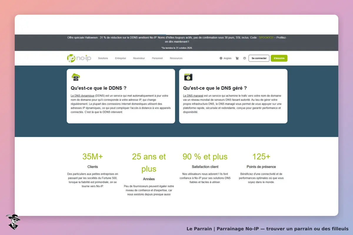 No-IP : page d'accueil présentant des services DDNS et DNS géré avec statistiques clients