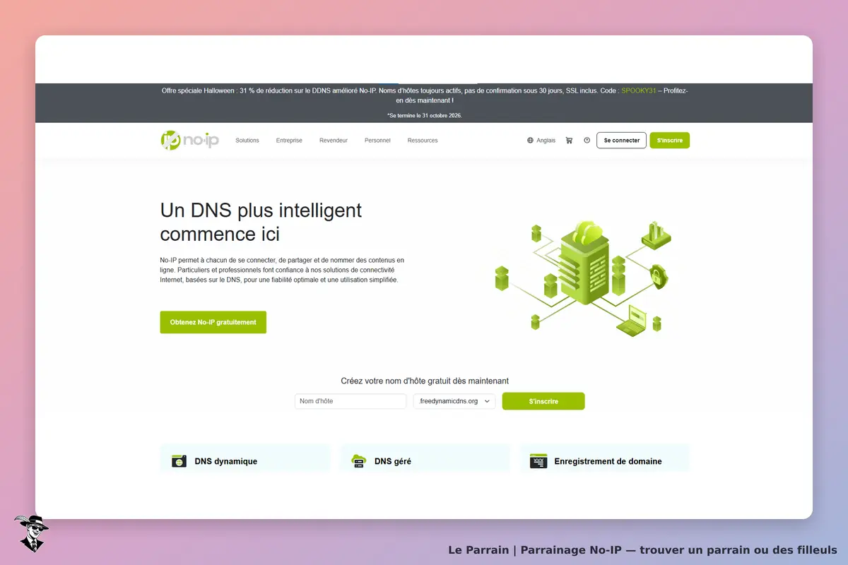 No-IP : page d'accueil présentant des solutions DNS avec un graphique et un bouton d'inscription