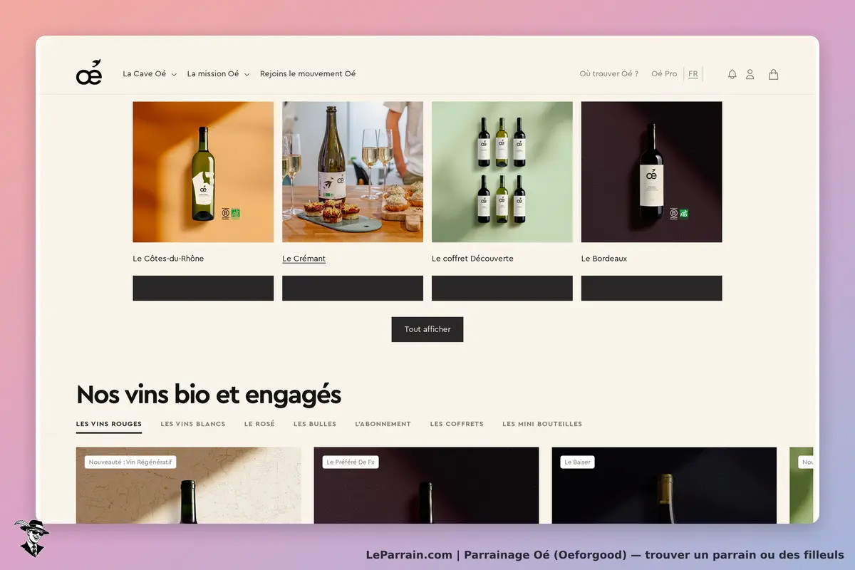 Oé (Oeforgood) : oé : page d'accueil présentant divers vins bio avec images et descriptions
