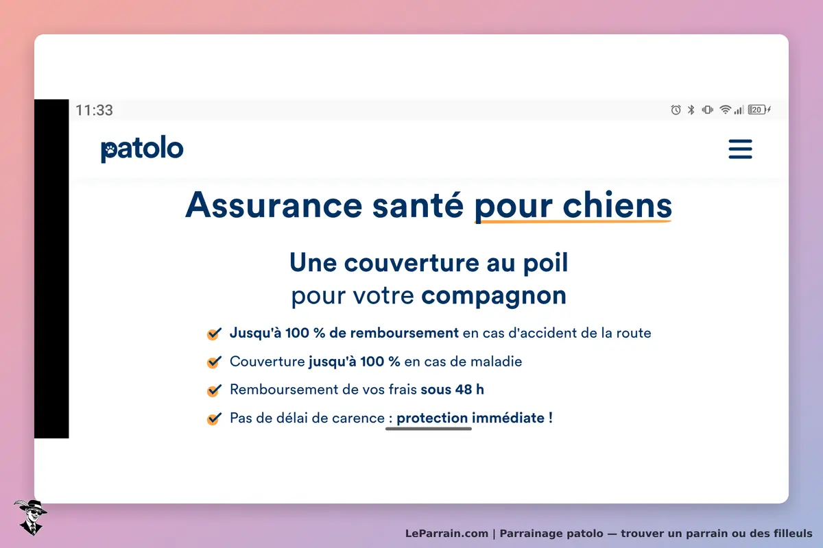 patolo : page d'accueil présentant une assurance santé pour chiens avec plusieurs points clés