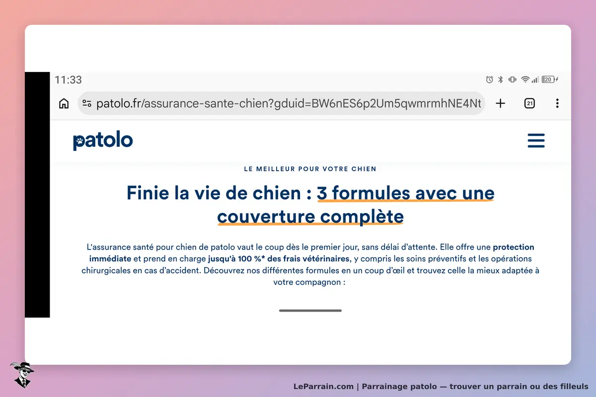 patolo : page d'accueil présentant l'assurance santé pour chien et ses trois formules