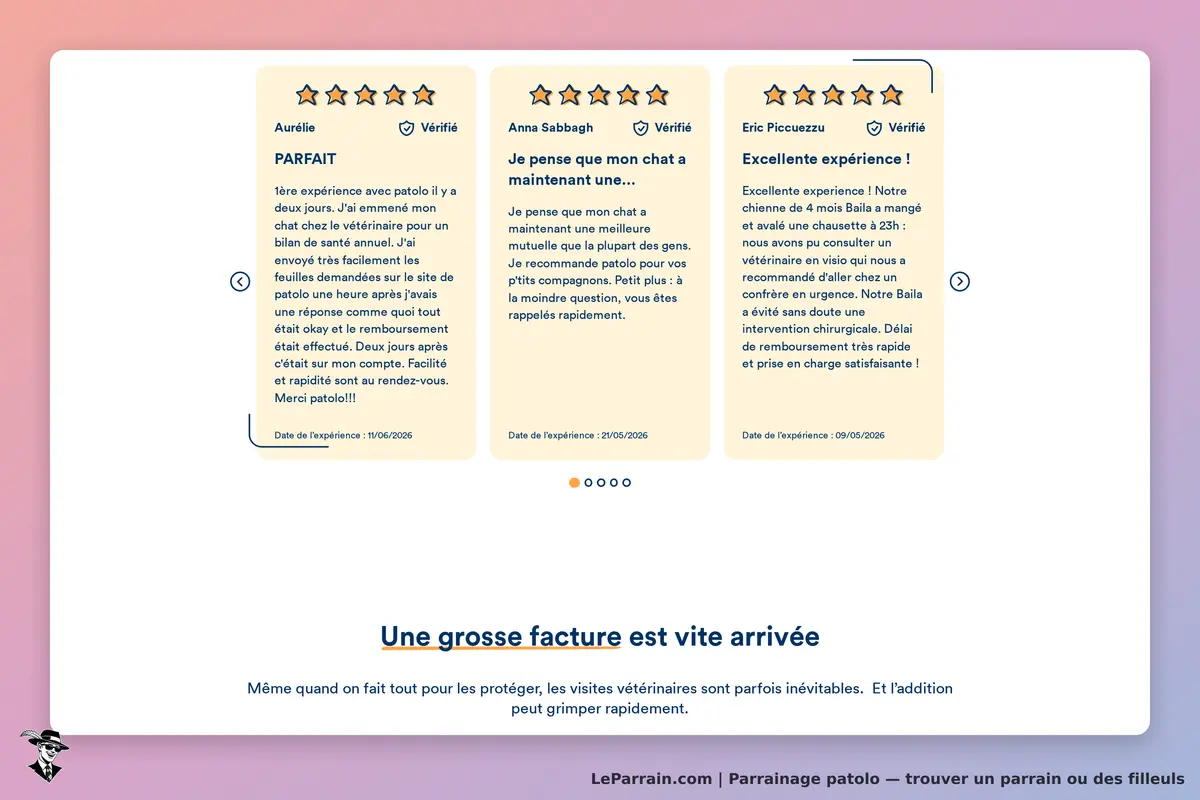 patolo : témoignages d'utilisateurs avec évaluations et dates d'expérience affichées sur la page
