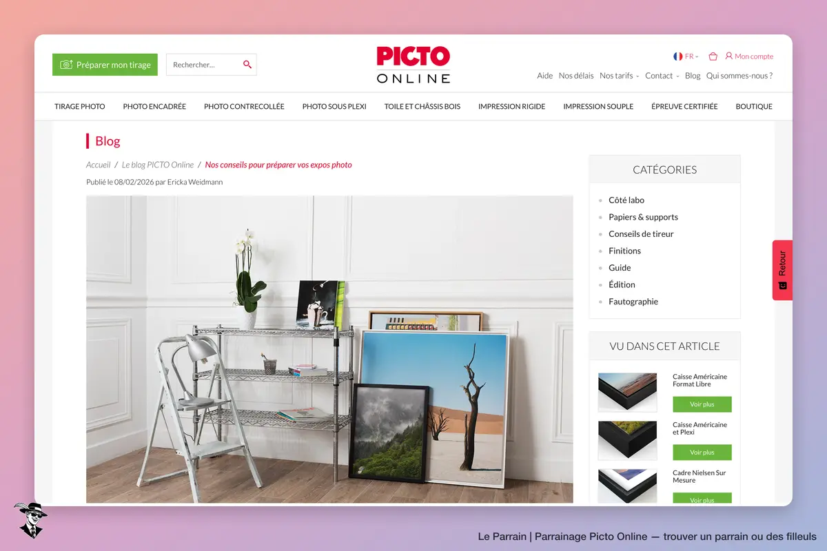 Page produit de Picto Online