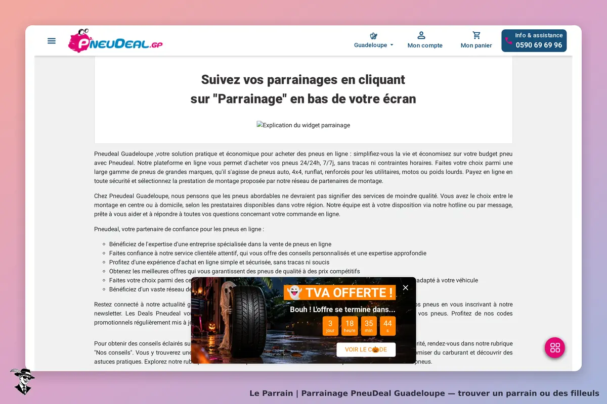 Capture d'écran de PneuDeal Guadeloupe
