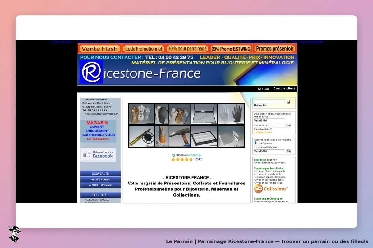 Ricestone-France : page d'accueil avec produits de présentation et coordonnées de contact