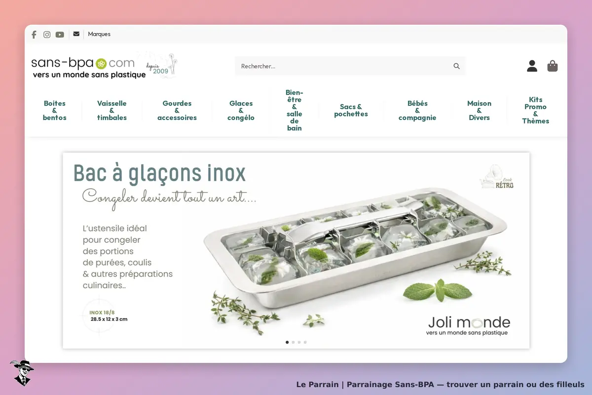 Sans-BPA : page d'accueil présentant un bac à glaçons en inox avec des herbes fraîches