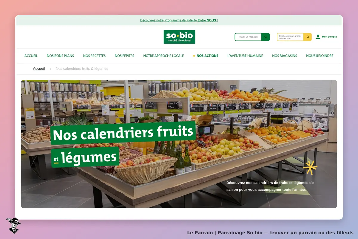 So bio : étal de fruits et légumes avec des paniers et des étiquettes sur un fond coloré