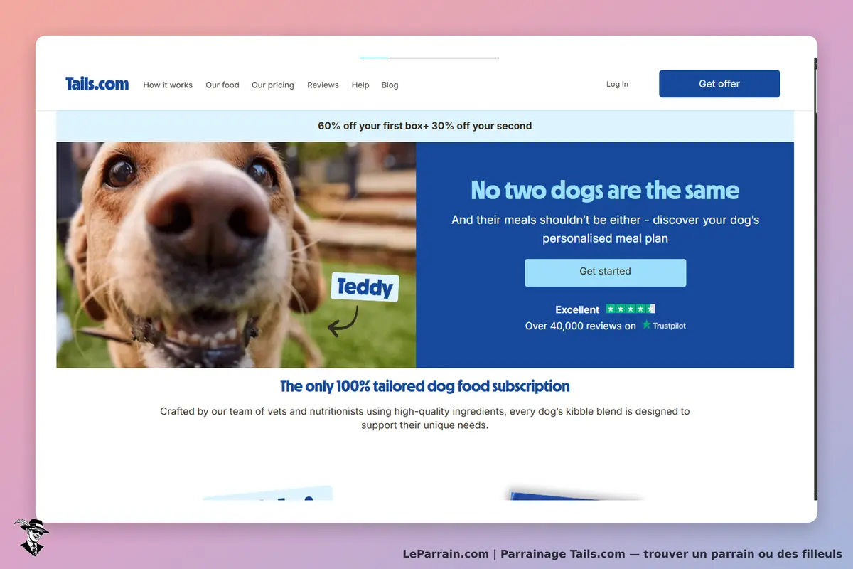 Tails.com : image d'un chien nommé Teddy sur la page d'accueil avec un message personnalisé