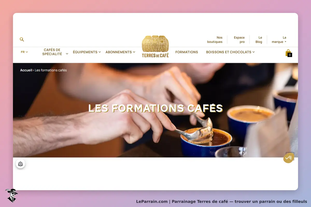 Terres de Café : présentation de la section "Formations cafés" avec des tasses de café