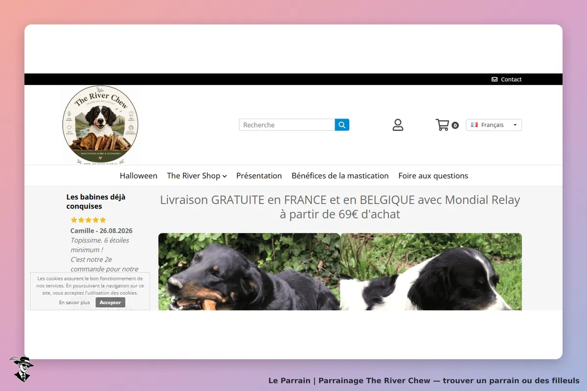 The River Chew : page d'accueil avec logo, avis client et photos de chiens