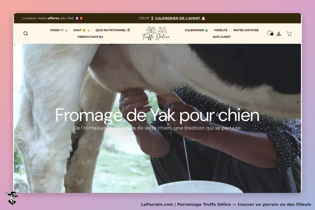Truffe Délice : fromage de Yak pour chien, avec un homme en train de traire une vache