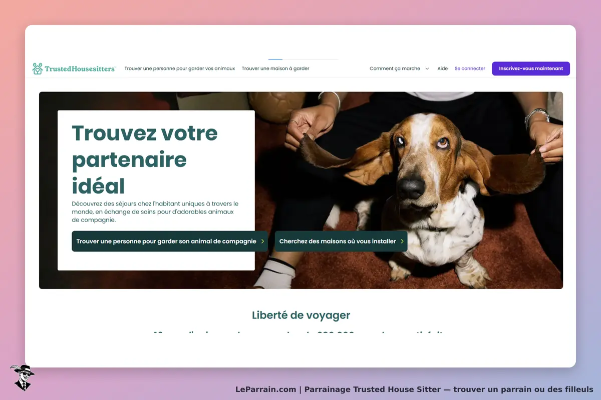 Trusted House Sitters : page d'accueil avec un chien basset et un texte d'introduction