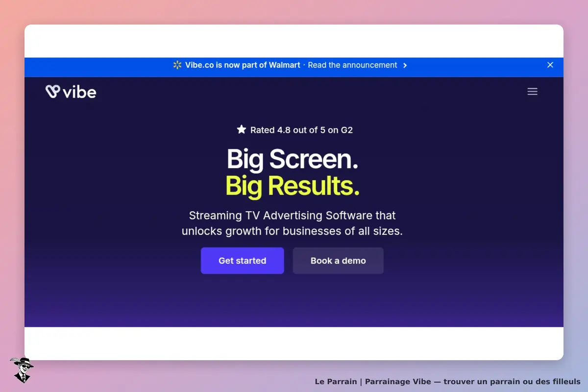 Vibe : page d'accueil présentant un logiciel publicitaire avec boutons "Get started" et "Book a