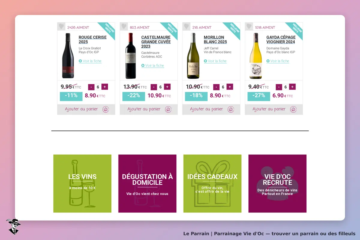 Vie d'Oc : page d'accueil avec des vins et des options de dégustation à domicile