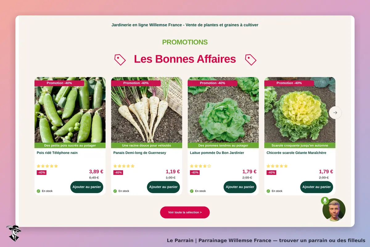 Willemse France : produits en promotion, incluant pois, panais, laitue et chicorée