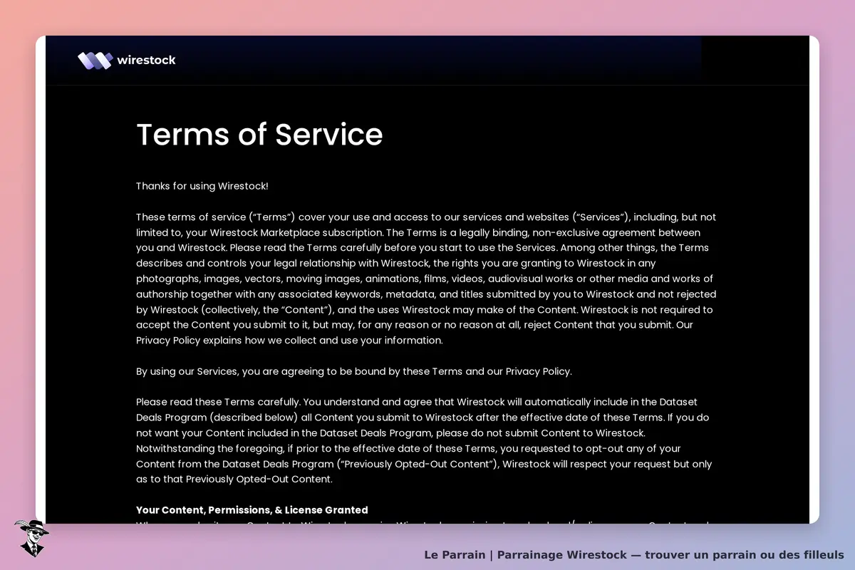 Wirestock : page des conditions d'utilisation avec texte explicatif sur les services offerts