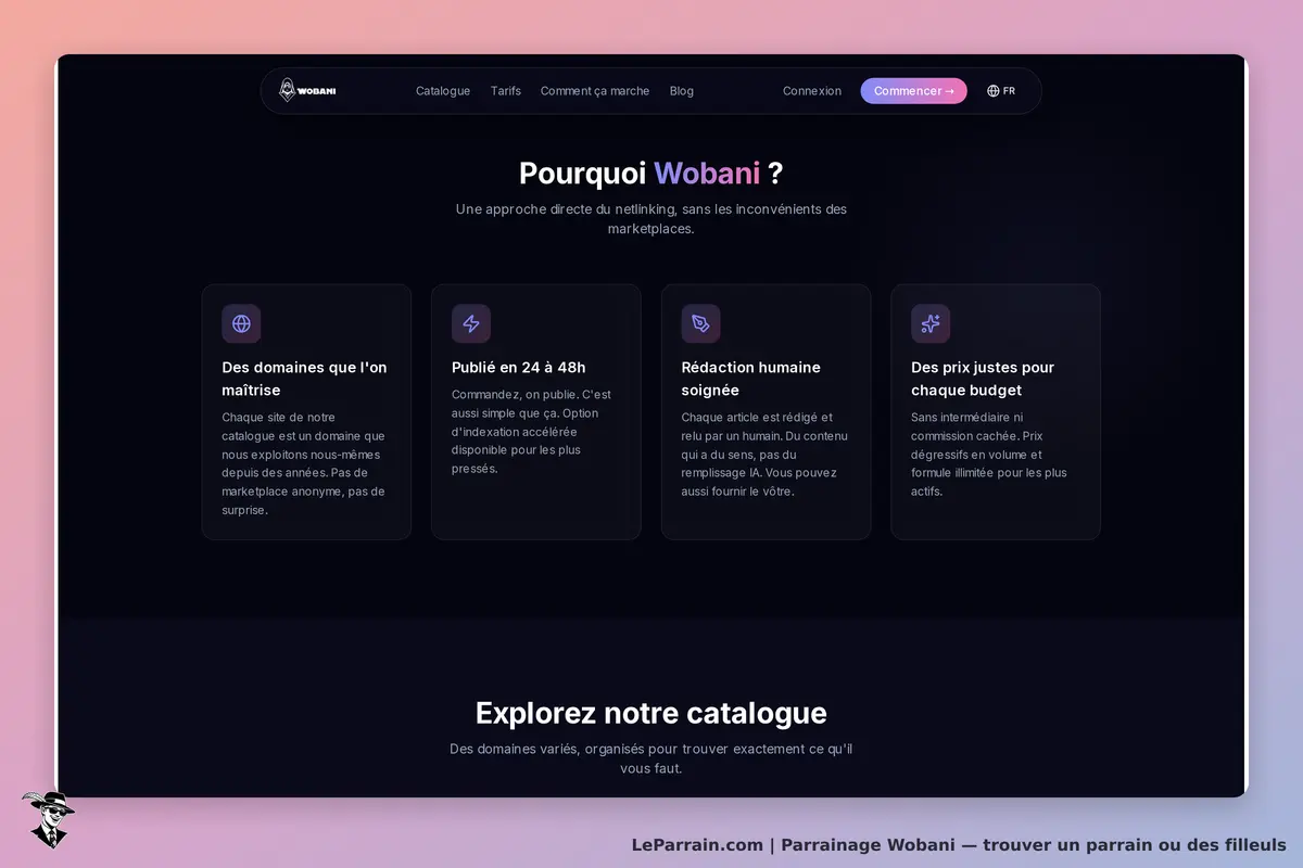 Page d'accueil de Wobani, présentant ses services de netlinking et de rédaction.