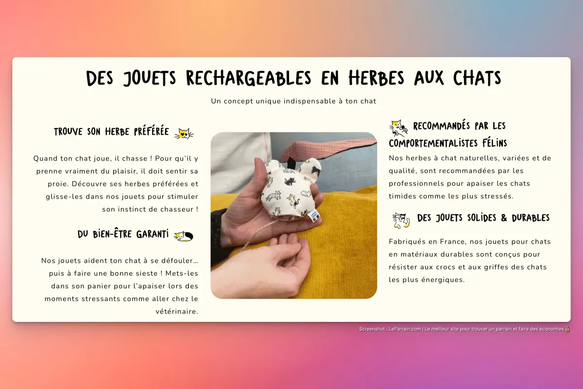 Capture d'écran 6 du programme de parrainage Petits Fripons