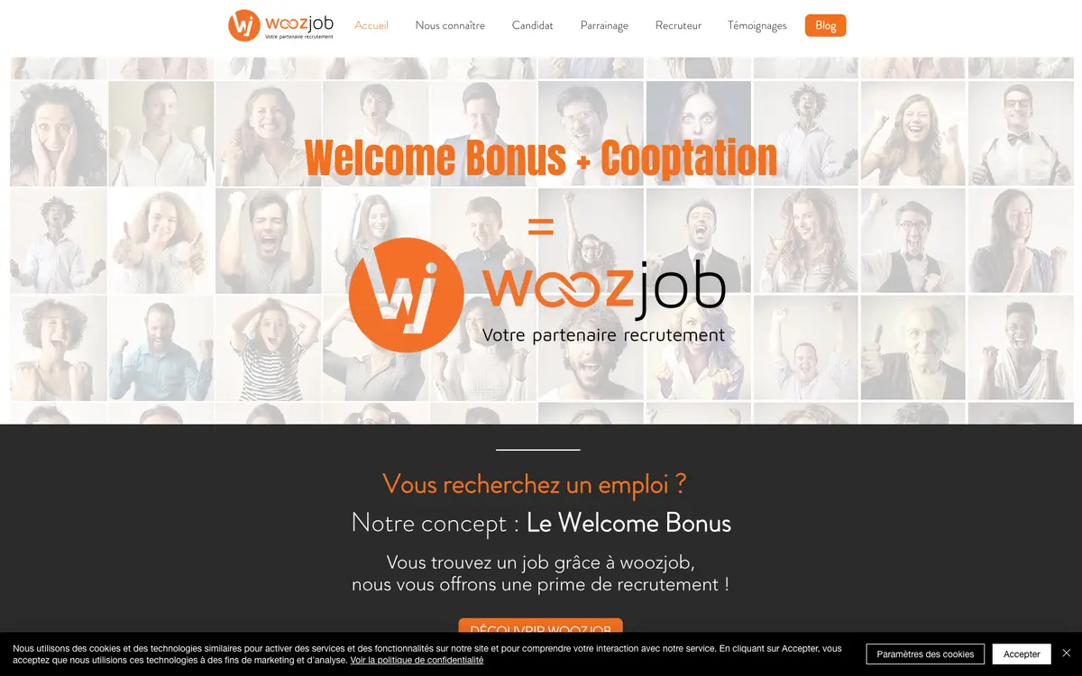 Aperçu du site Woozjob