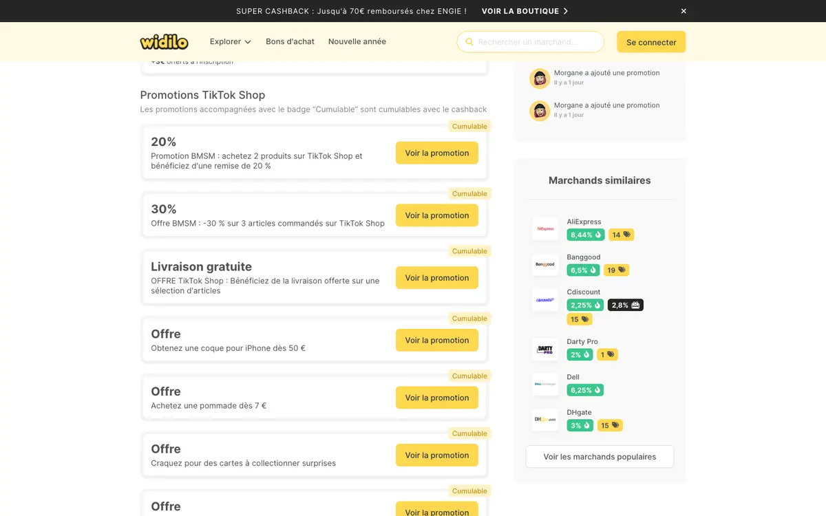 Aperçu du site Widilo